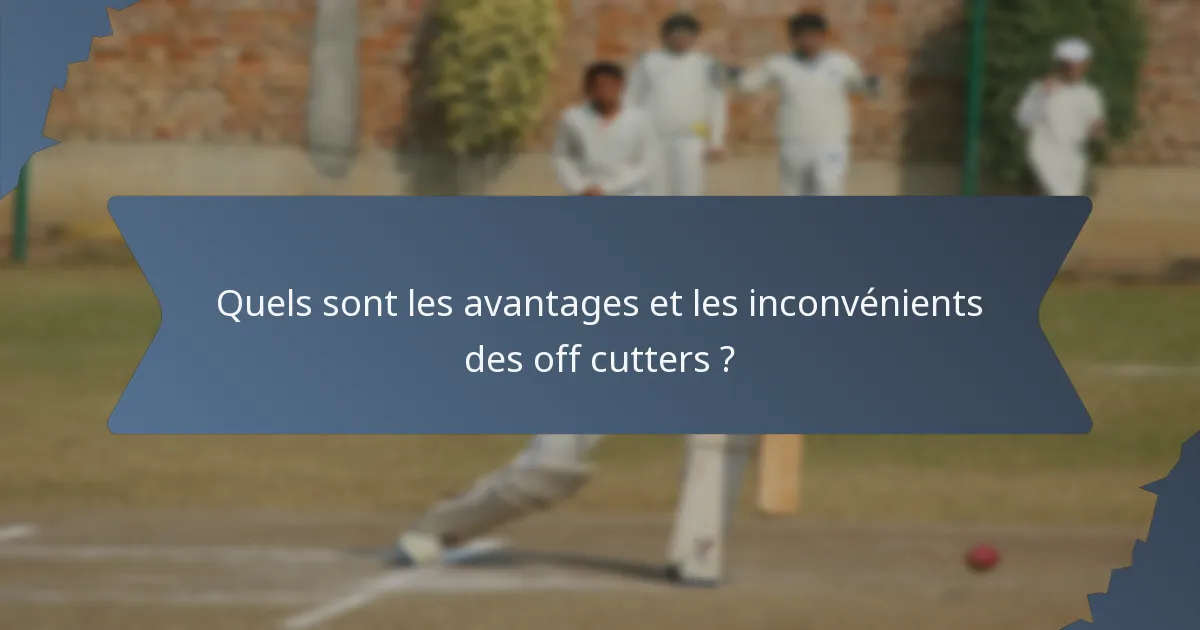 Quels sont les avantages et les inconvénients des off cutters ?